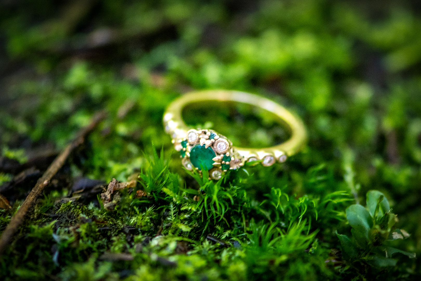 Ring on a bed of moss at the Grand Forest
